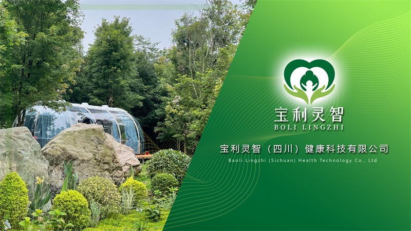 宝利灵智（四川）健康科技有限公司